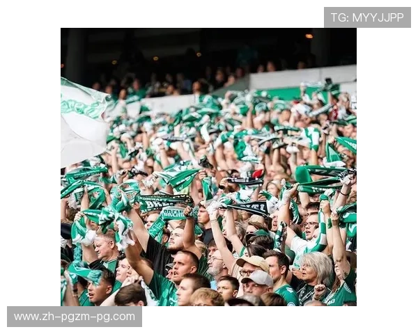 德甲球队模板图鉴 适合二创和球迷二次传播